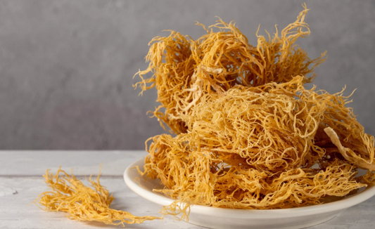 What is Sea Moss and Why is it So Popular Right Now?