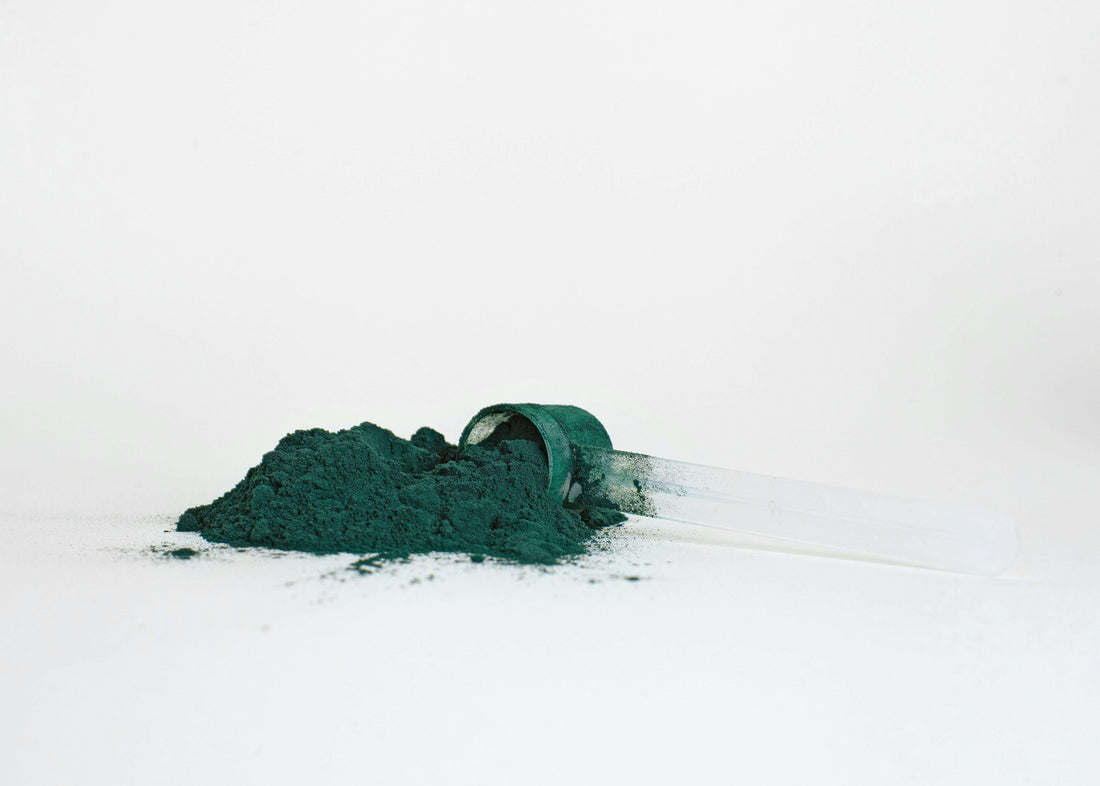Dark green spirulina powder spilled from a clear plastic scoop on a white background.